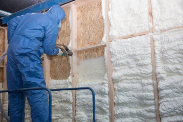 Best Blown-In Insulation  in Ainaloa, HI